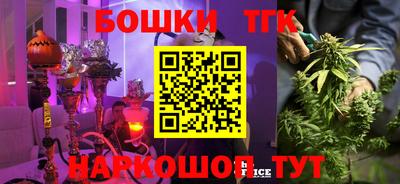 прущие грибы Волгодонск