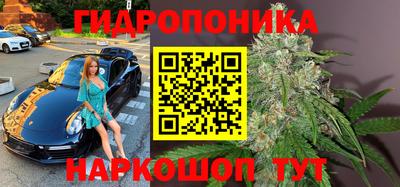 гидропоника Волжск