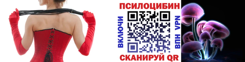где купить Фролово Псилоцибиновые грибы Psilocybine cubensis