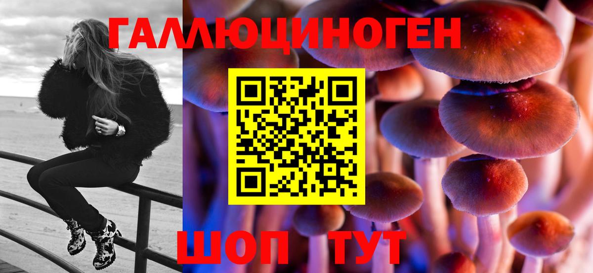 Псилоцибиновые грибы GOLDEN TEACHER Фролово