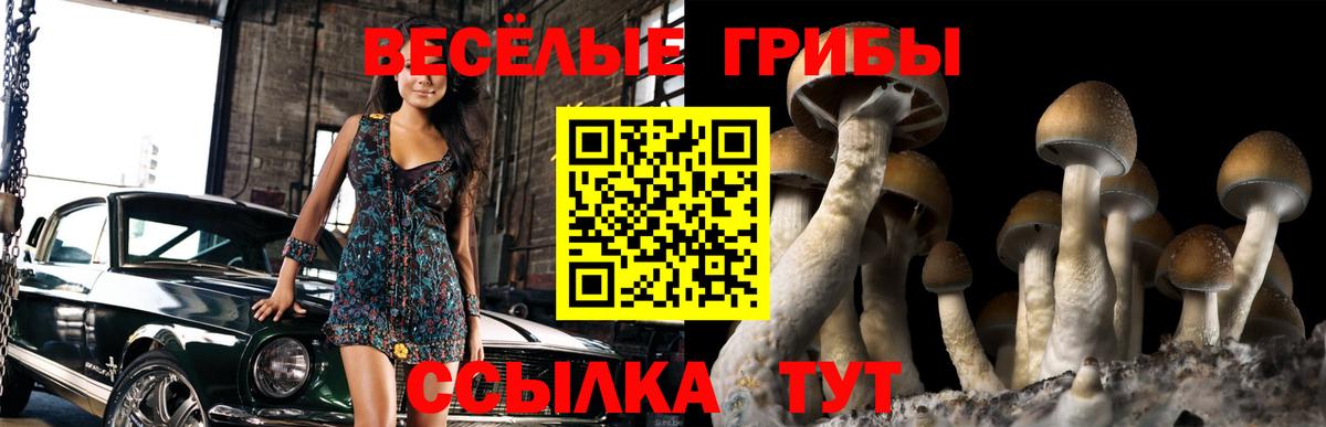 Фролово  продажа наркотиков  Вход с VPN  Галлюциногенные грибы Psilocybe 